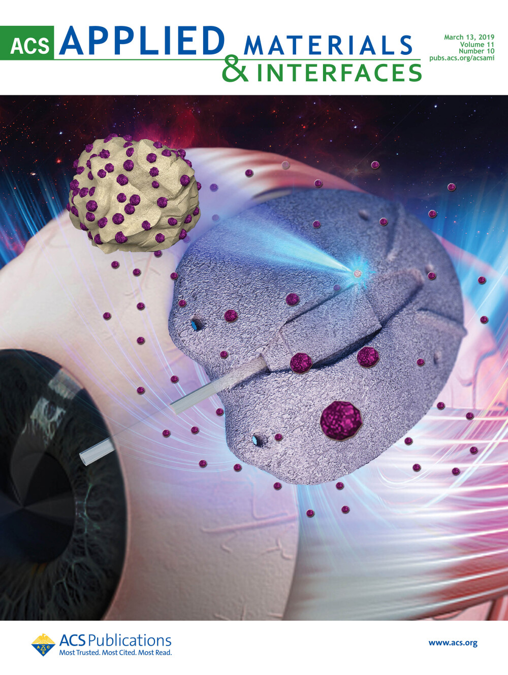 ACS Appl. Mater. Interfaces 哈爾濱醫科大學等發表前沿科研美圖，展現生物材料與醫學界面的創新魅力