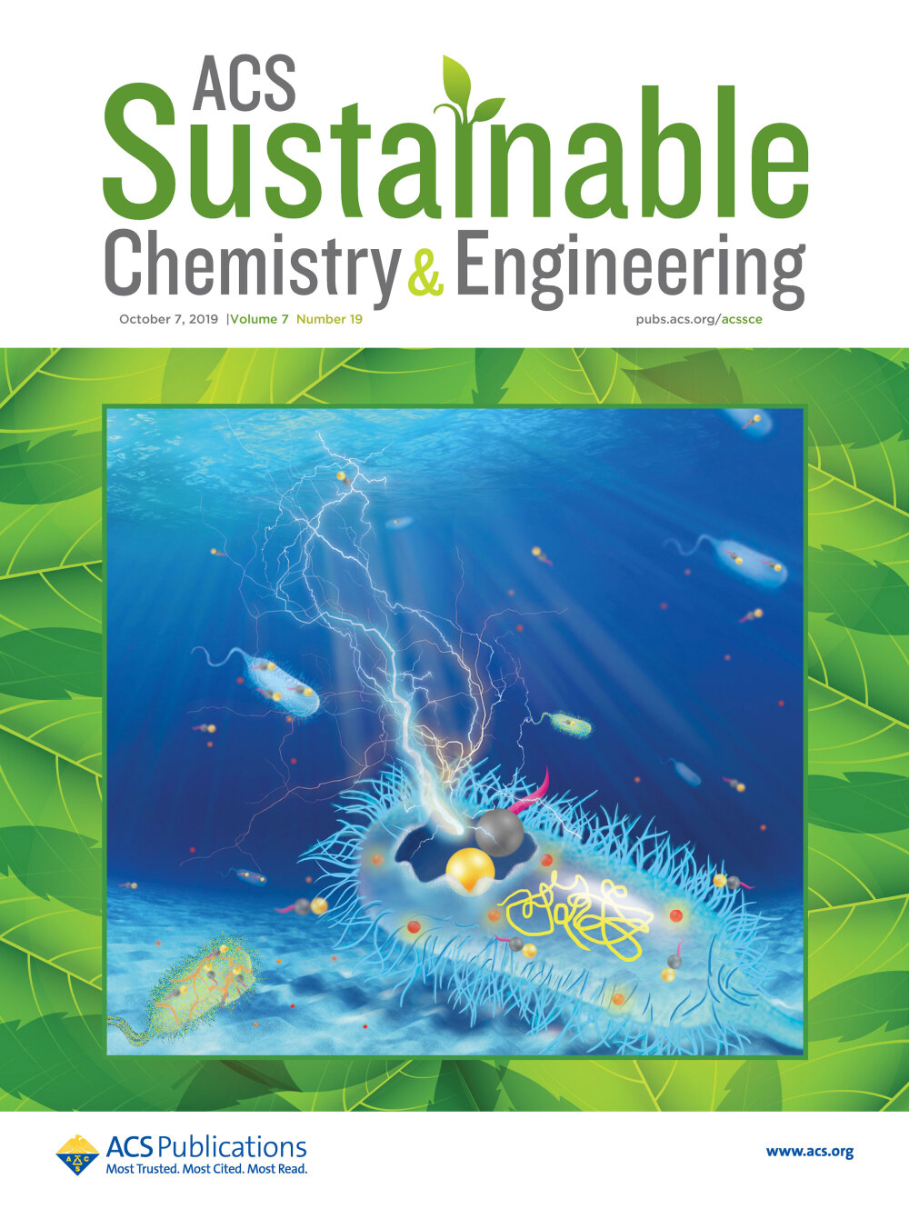 堆糖上的科研美圖 陜西科大與ACS Sustainable Chem. Eng.插畫的藝術魅力